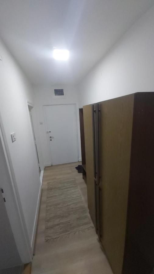 לסקובץ Apartman Pavlovic מראה חיצוני תמונה