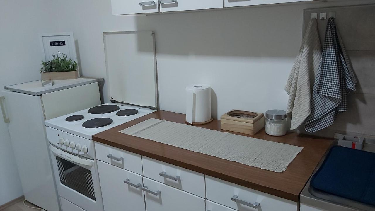 לסקובץ Apartman Pavlovic מראה חיצוני תמונה