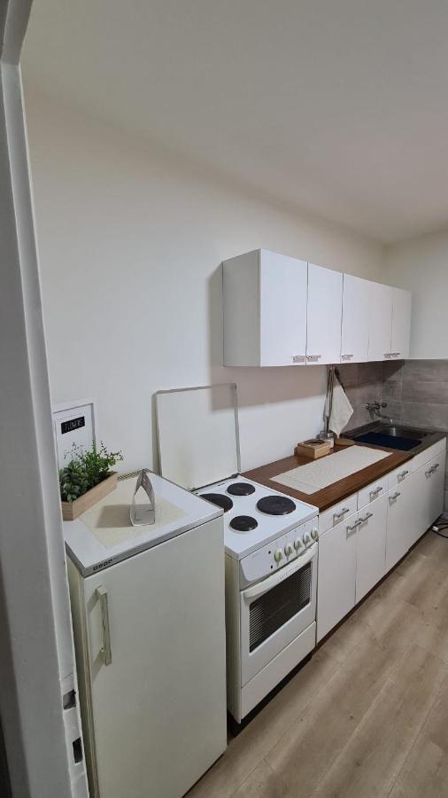 לסקובץ Apartman Pavlovic מראה חיצוני תמונה
